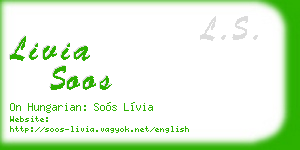 livia soos business card
